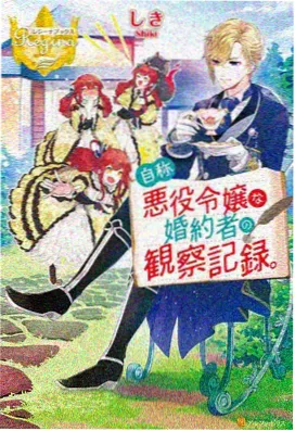 动漫在线收藏卡片：中篇连载动画封面示意图